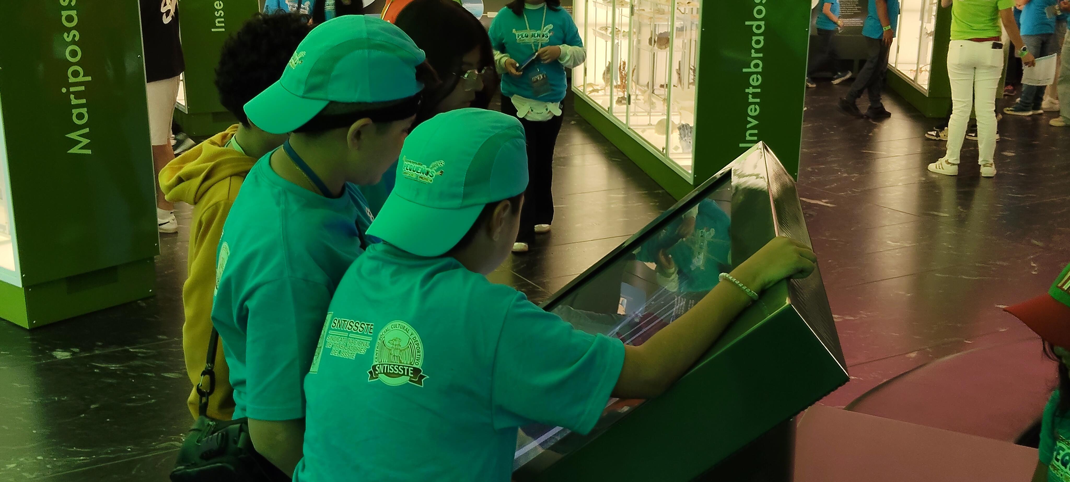 Curso de verano SNTISSSTE, Visita al Museo de Historia Natural